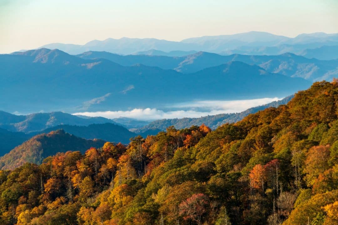 Colorful fall foliage covering rolling hills of the Tennessee Smoky Mountains with layers of blue ridges in the distance, symbolizing seasonal driveway maintenance needs before winter.