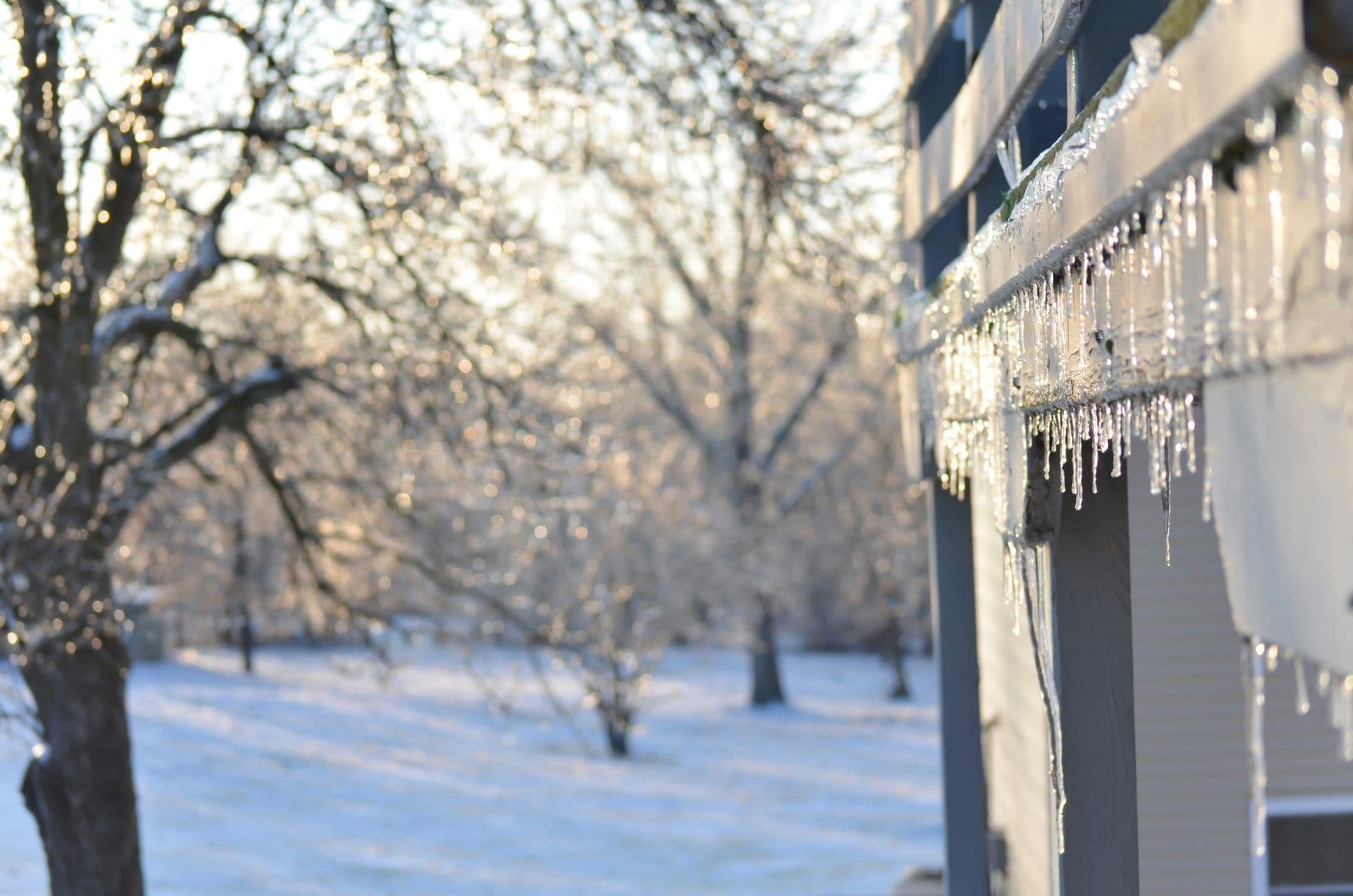 Frozen iccyles on a winter roof